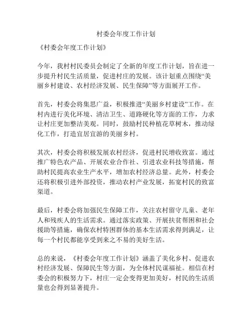 村委会年度工作计划