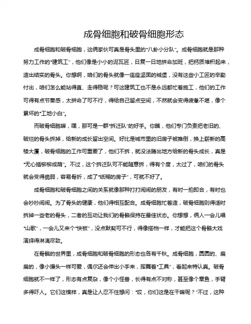 成骨细胞和破骨细胞形态