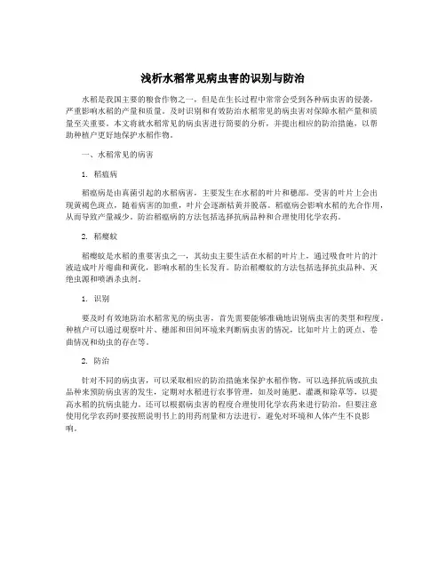 浅析水稻常见病虫害的识别与防治