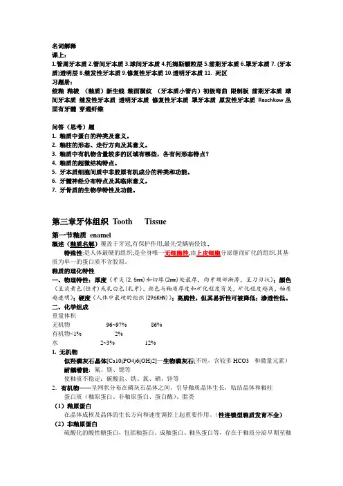 第三章 牙体组织 Tooth   Tissue