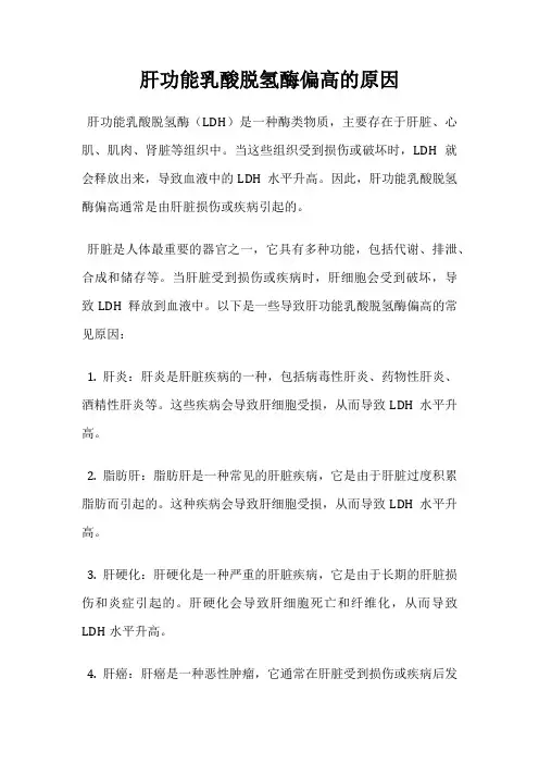 肝功能乳酸脱氢酶偏高的原因
