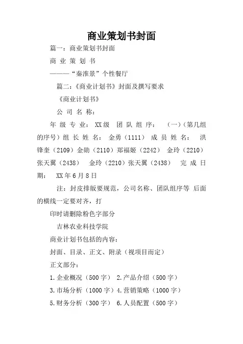 商业策划书封面