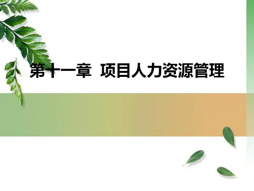 项目人力资源管理PPT课件
