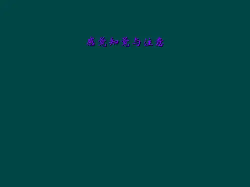 感觉知觉与注意