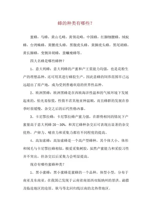 蜂的种类有哪些？