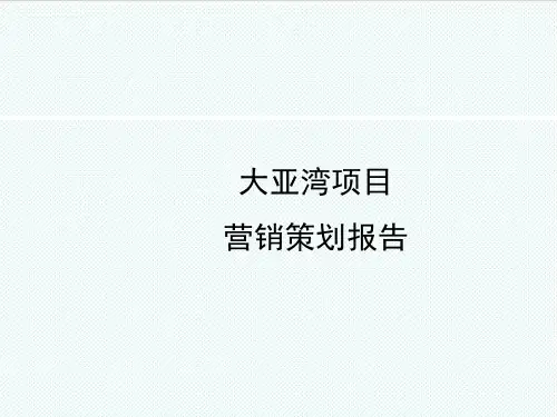 推荐-大亚湾项目营销策划报告 精品