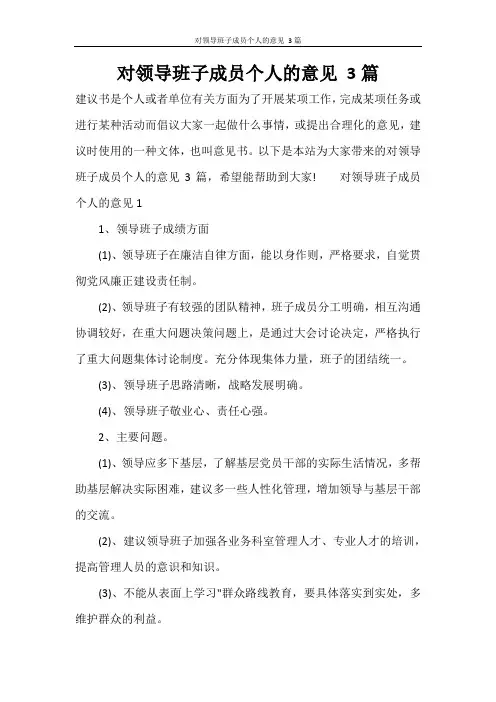 对领导班子成员个人的意见 3篇