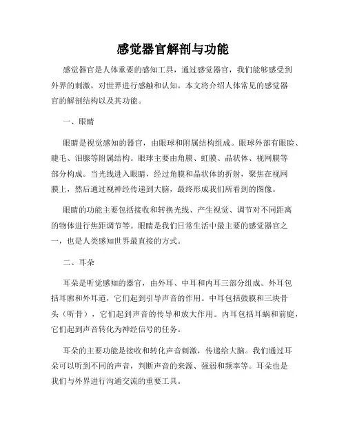 感觉器官解剖与功能