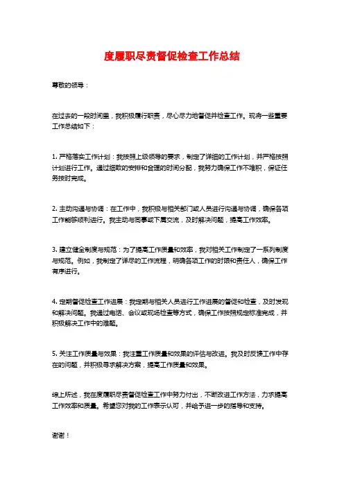 度履职尽责督促检查工作总结 (2)