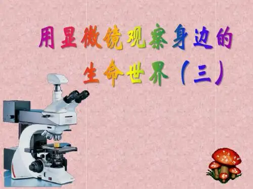 《用显微镜观察身边的生命世界(三)》微小世界PPT课件3 (共27张PPT)