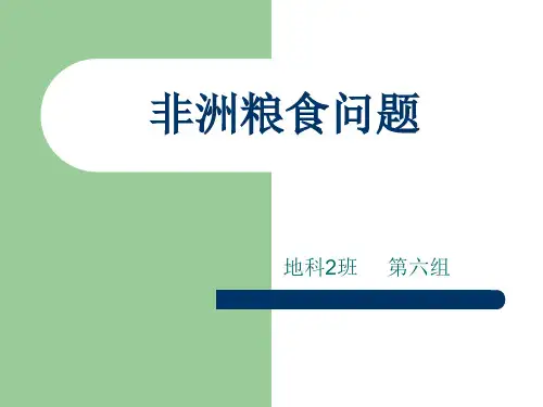 非洲粮食问题