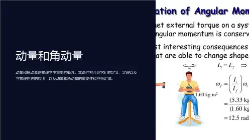 动量和角动量课件