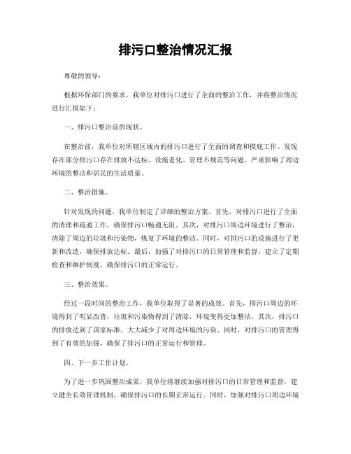 排污口整治情况汇报