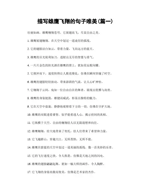 描写雄鹰飞翔的句子唯美(精选两篇)