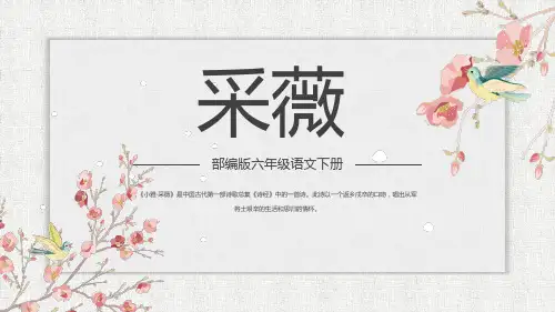 部编版六年级语文下册《采薇》PPT精品课件
