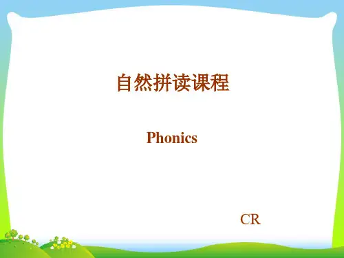 【小升初】英语专题复习-英语字母自然拼读课件.ppt