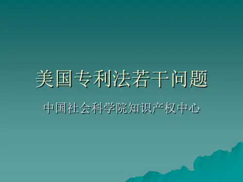 美国专利法若干问题