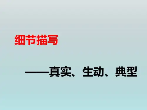 中考语文习作指导课《细节描写》课件