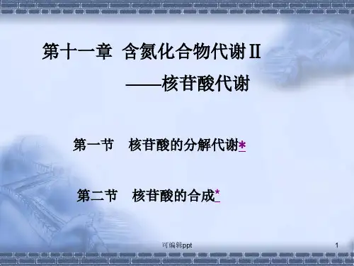 含氮化合物代谢Ⅱ核苷酸代谢