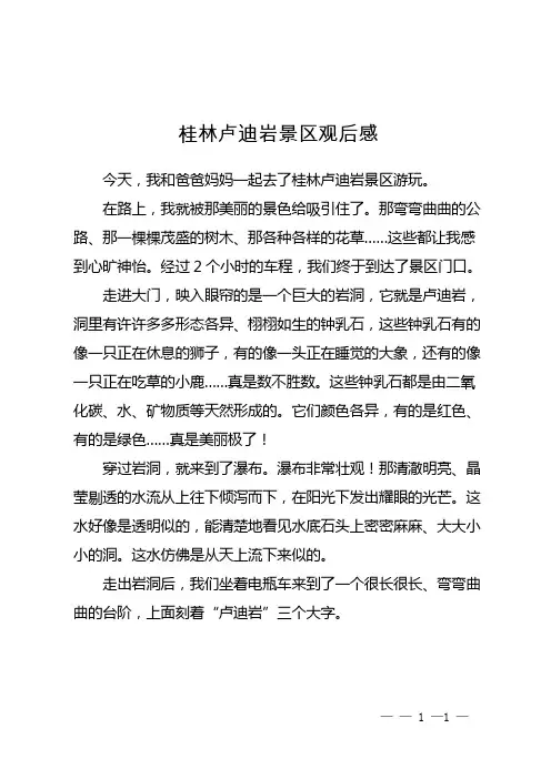 桂林卢迪岩景区观后感
