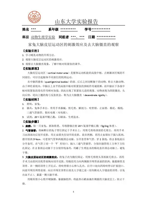 家兔大脑皮层运动区的刺激效应及去大脑僵直的观察