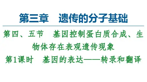 2022-2023学年浙科版(2019)必修二  3-4 基因的表达——转录和翻译  课件(61张)