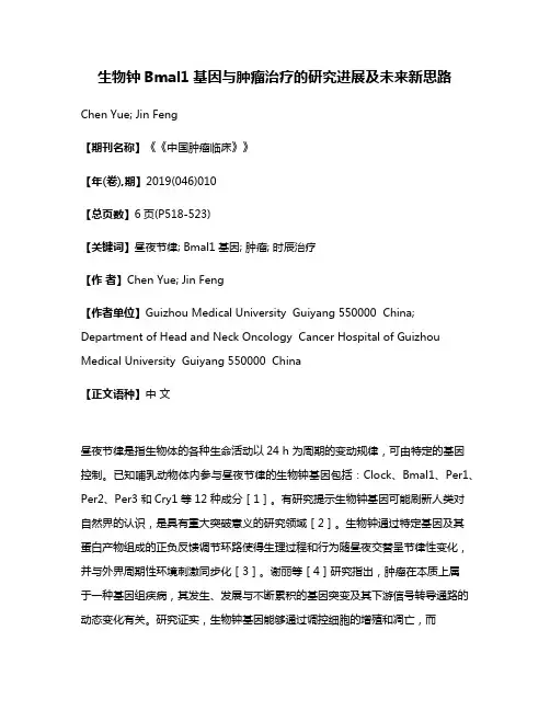 生物钟Bmal1基因与肿瘤治疗的研究进展及未来新思路