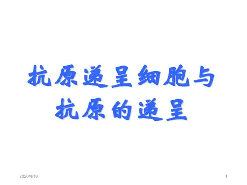 抗原递呈细胞与抗原递呈