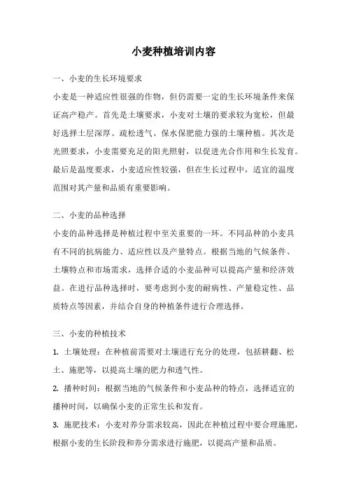 小麦种植培训内容