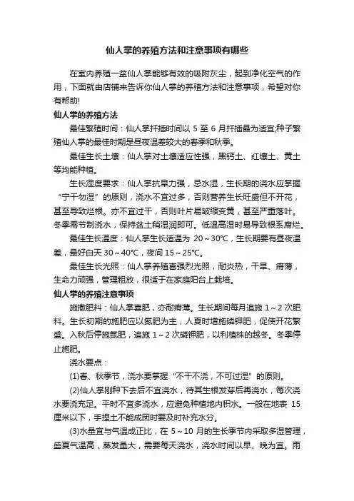 仙人掌的养殖方法和注意事项有哪些