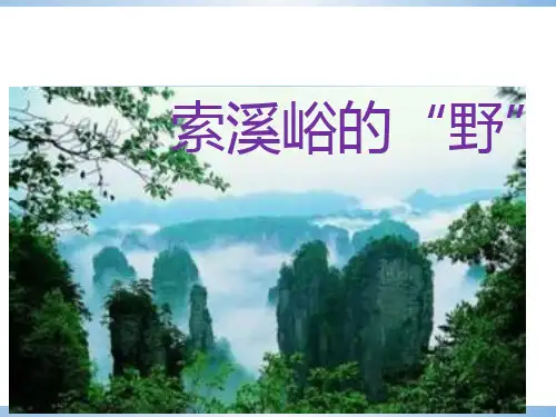 六年级上册语文课件索溪峪的“野”_人教新课标 (共27张PPT)