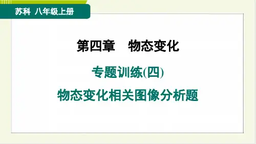 2024年苏科版八年级上册物理第4章专题训练(四) 物态变化相关图像分析题