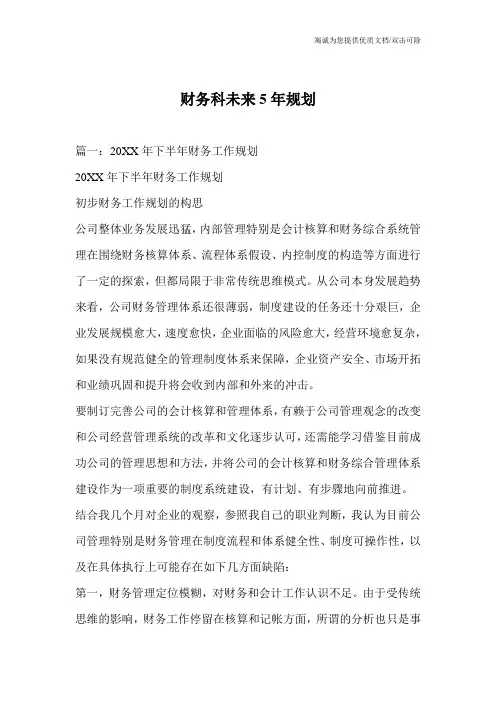 财务科未来5年规划