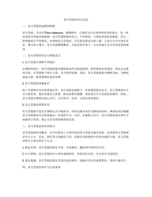 星月菩提知识点总结