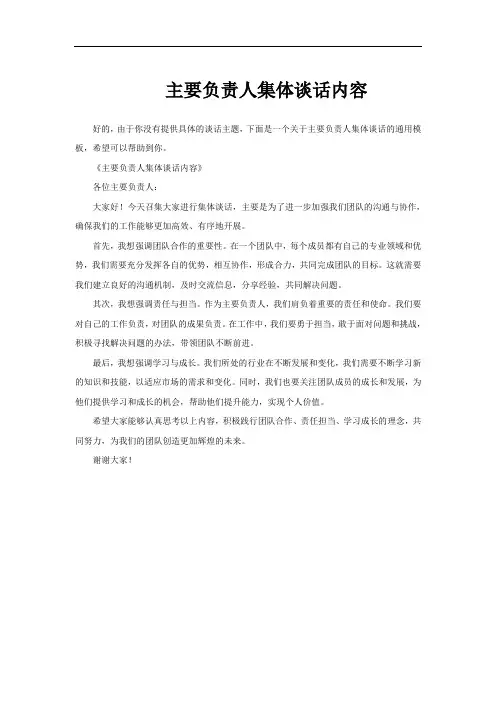 主要负责人集体谈话内容
