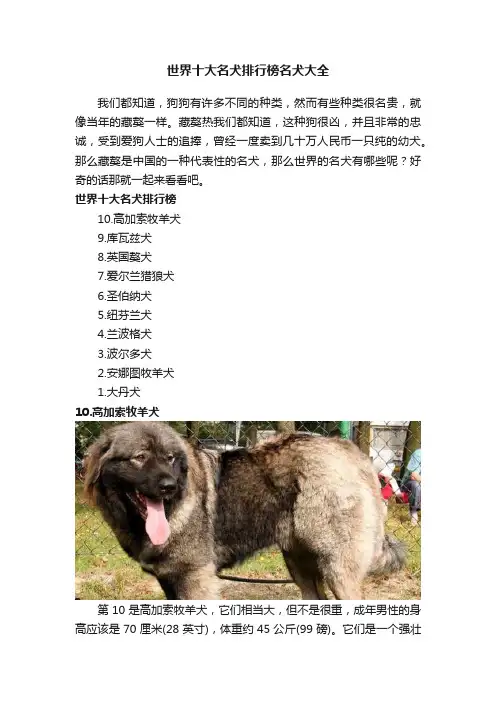 世界十大名犬排行榜名犬大全