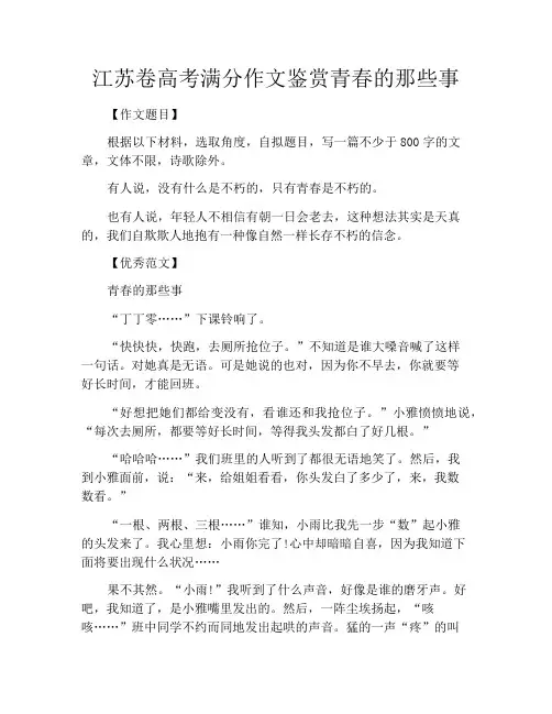 中小学优选作文之江苏卷高考满分作文鉴赏青春的那些事