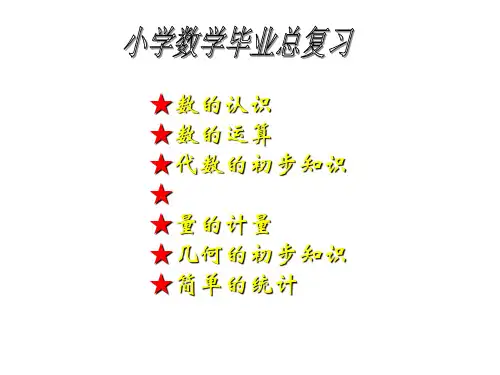 小学数学毕业总复习精品PPT课件