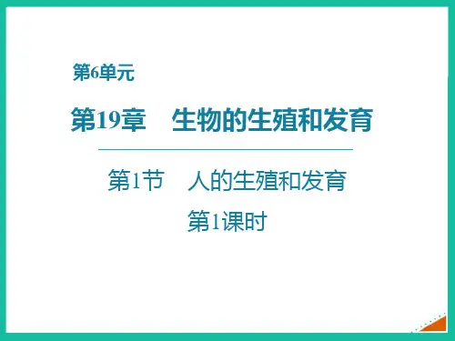 《人的生殖和发育》PPT精品课件(第1课时)