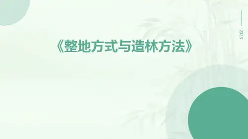 整地方式与造林方法