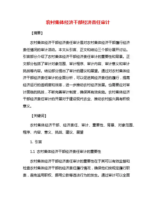 农村集体经济干部经济责任审计