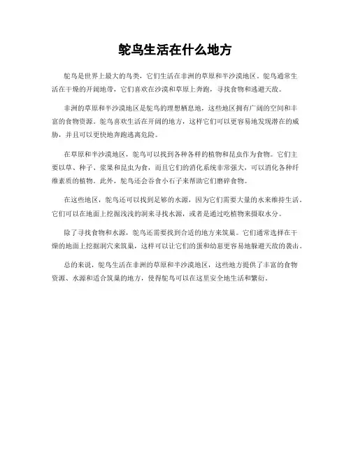 鸵鸟生活在什么地方
