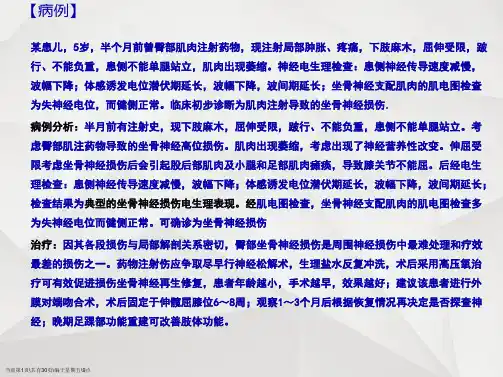 机能实验神经干复合动作电位及其传导速和兴奋不应期的测定