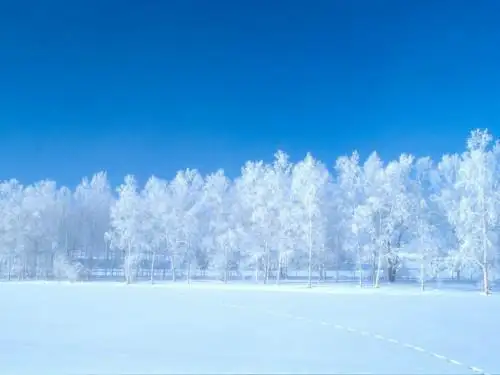 人教版小学语文一年级上册《雪地里的小画家》PPT课件 新