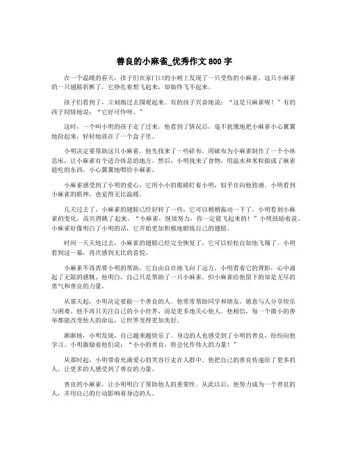 善良的小麻雀_优秀作文800字