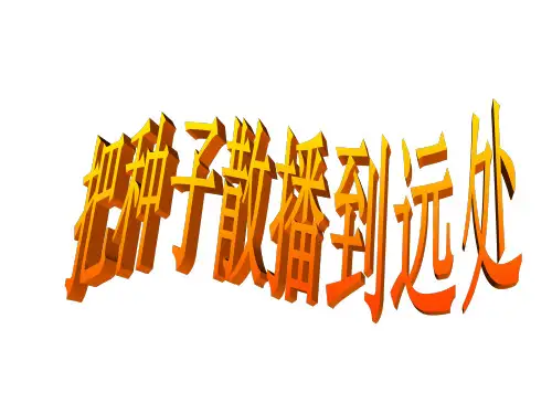 四年级下科学第二单元4把种子散播到远处