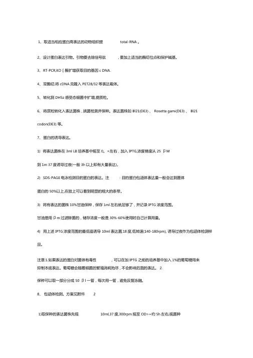 蛋白表达纯化试验步骤
