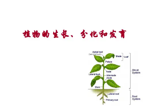 中等职业教育课程《植物环境》教案   植物的生长环境 认识植物生长与发育  PPT
