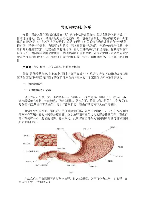 胃的自我保护论文（1）