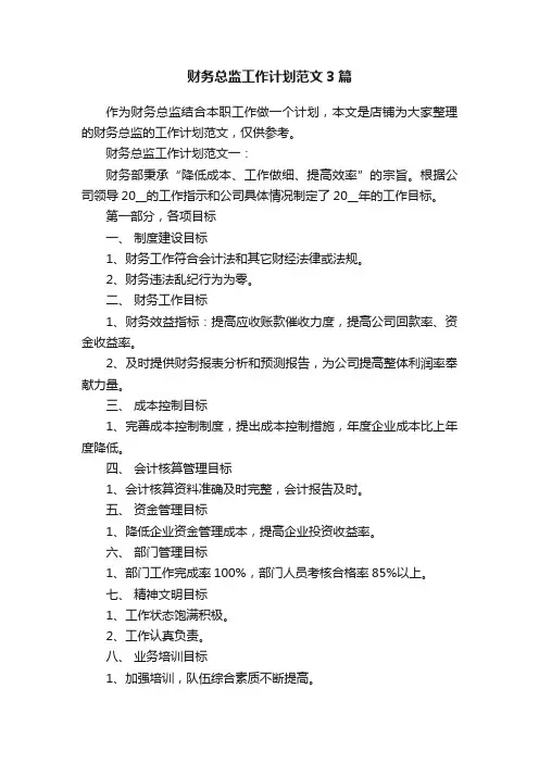 财务总监工作计划范文3篇